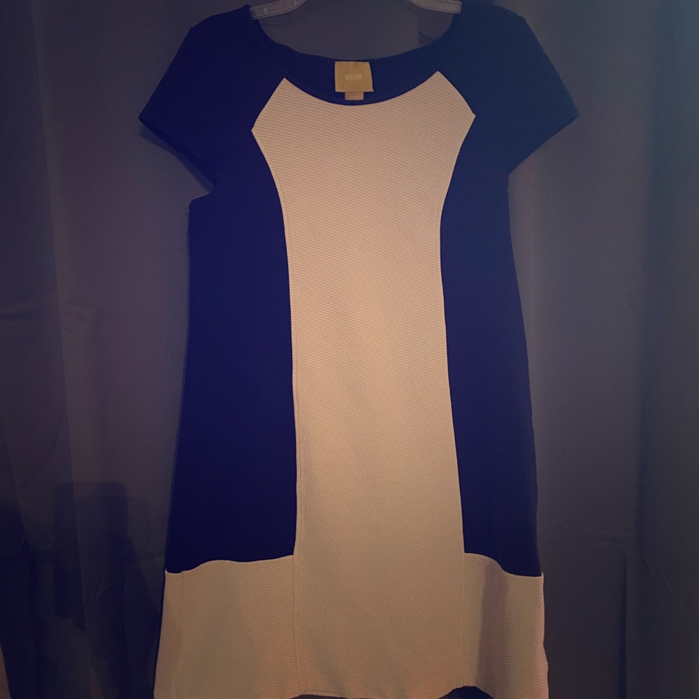 Anthropologie black and white dress